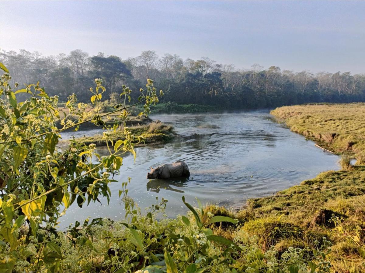 Hotel Tharu Garden, Sauraha Ngoại thất bức ảnh